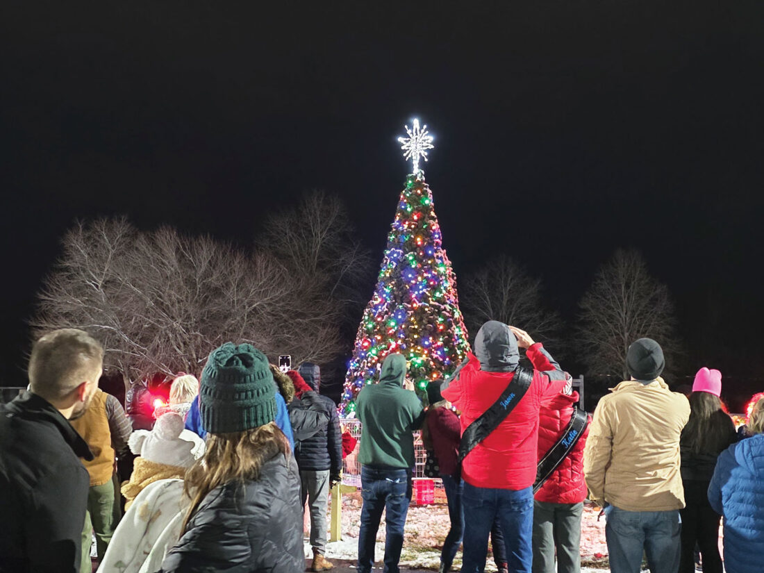 Vienna holds annual tree-lighting ceremony